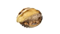 abalone weight grader