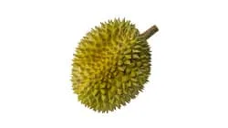 durian optical sorting