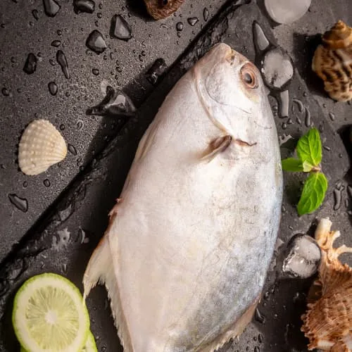 fish sorter machine for sorting