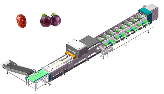 optical sorting machine for small size