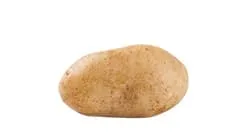 potato optical sorting