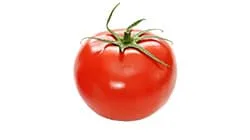 tomato optical grader