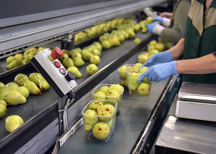 train optical sorter