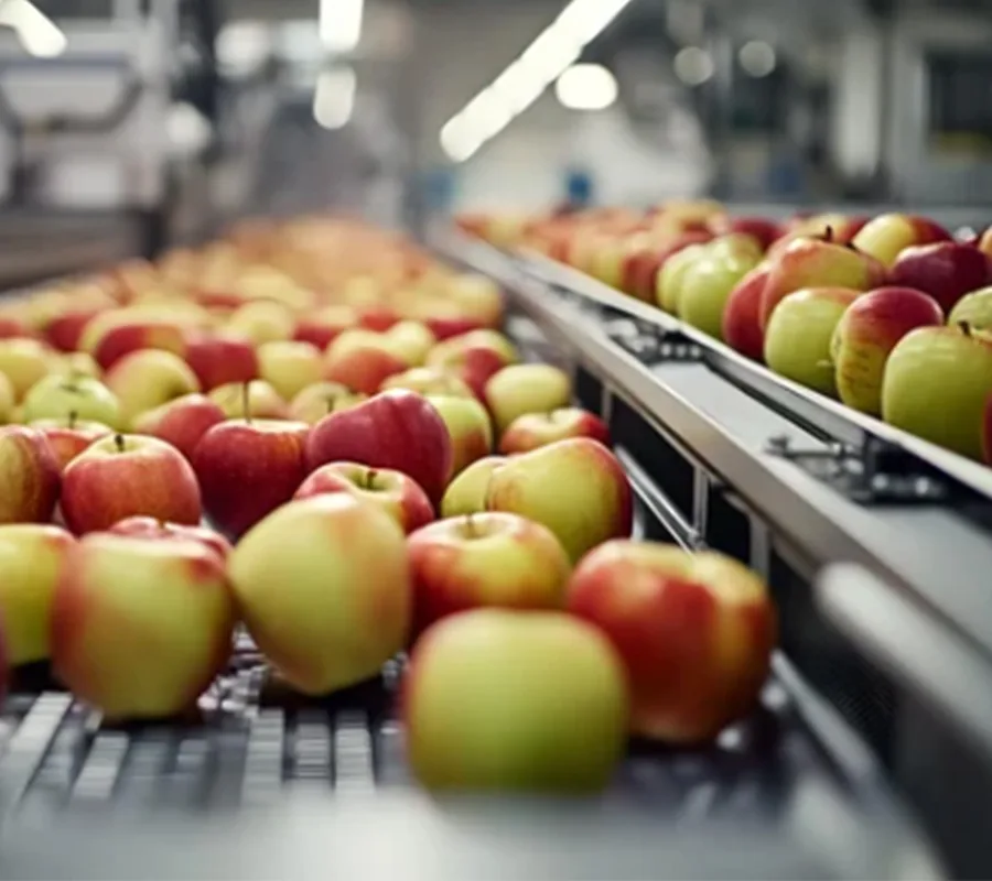 accurate weight grading