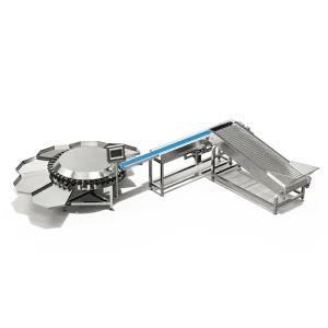 automatic fruit sorting machine