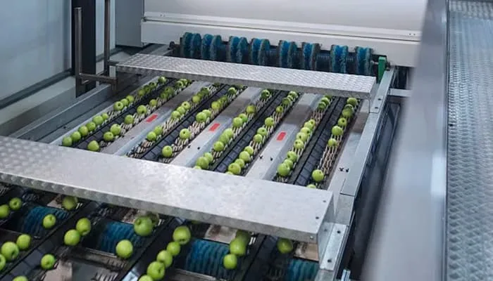 optical sorting machne for fruit iindustry