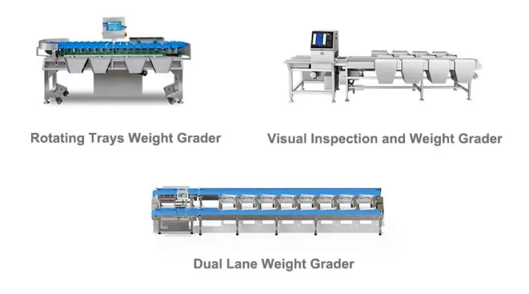 The Importance of Weight Sorting in Food Processing | Easyweigh