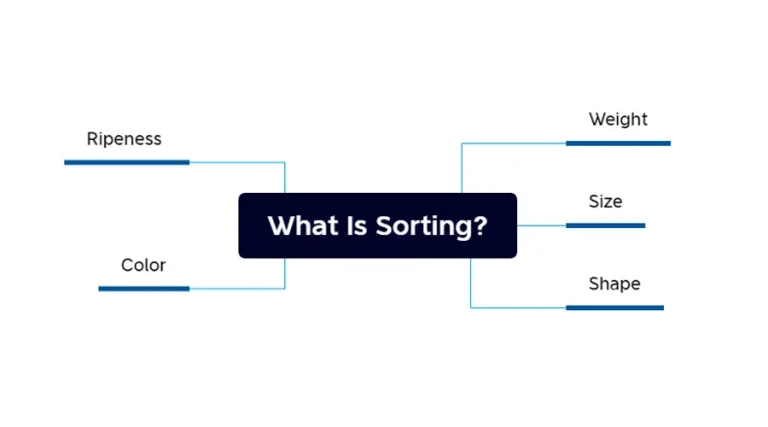 what is sorting
