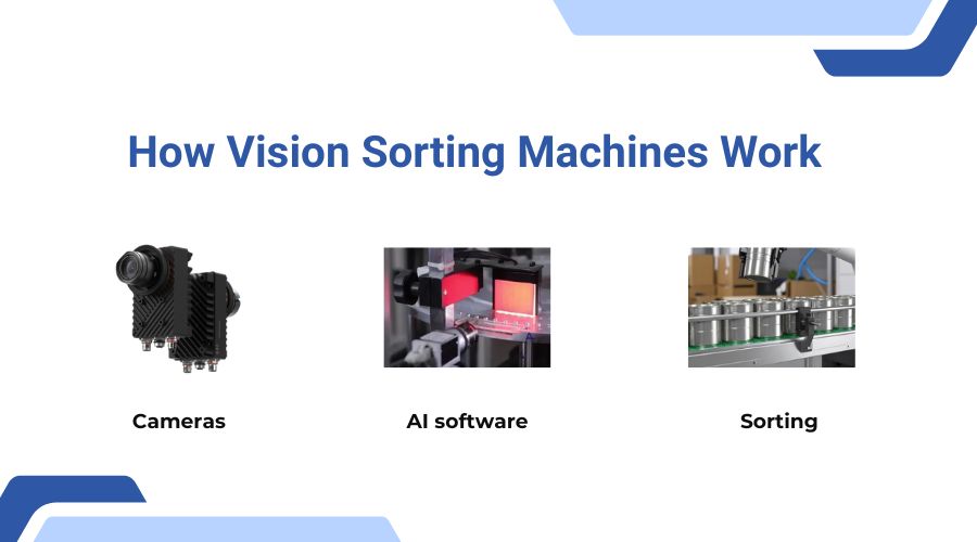 How Vision Sorting Machines Improve Sorting in Diverse Industries ...