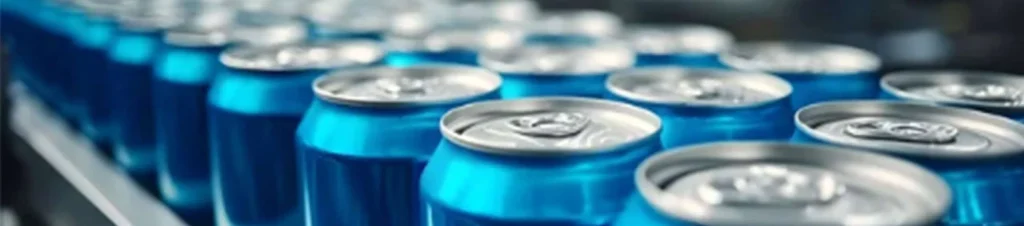 what is a vision sorting machine