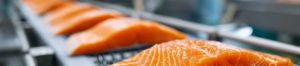 the ultimate guide to automated seafood sorter