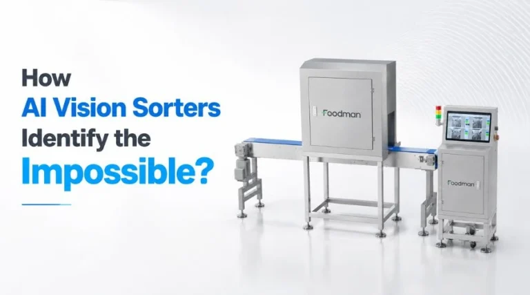 how ai vision sorters identify the impossible